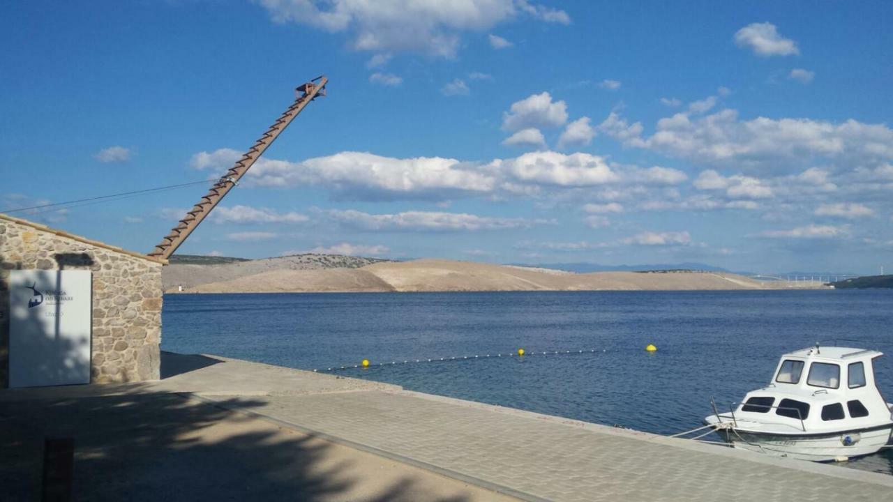 Ferienwohnung Marina Jadranovo Dış mekan fotoğraf